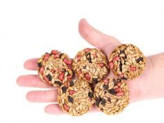 3 Delicious Vegan Cookie Recipes to Boost Energy