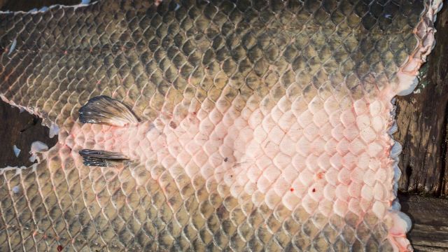 Fotolia_78474729_Subscription_Monthly_M