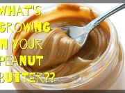 Does Your Peanut Butter Contain a Carcinogenic Mold?