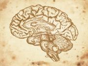 Do These 9 Things Every Day to Be Smarter