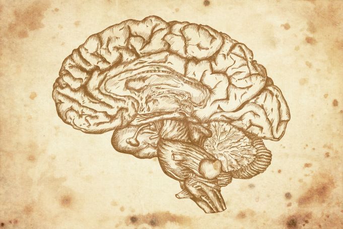 Do These 9 Things Every Day to Be Smarter