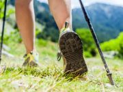 Let Hiking be Your New Wellness Tool