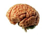 Brain Tricks that Work: Just Say No to Junk