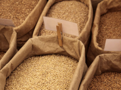 When It’s Smart to Buy in Bulk – And When It’s Not