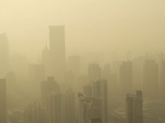 Air Pollution May Cause a Stroke