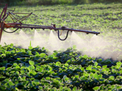 Exposed: GMOs Don’t Use Less Pesticides