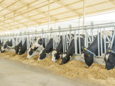 Washington Citizens Win Case Against Industrial Dairy Farms