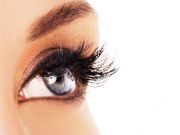 The Long and Short on Eyelashes