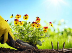 5 Reasons Everyone Needs a Garden