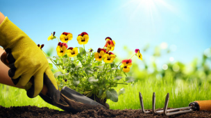 5 Reasons Everyone Needs a Garden