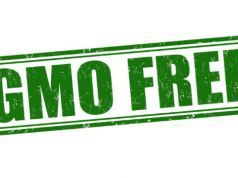 GMO Debate is Far From Over, Scientists Say