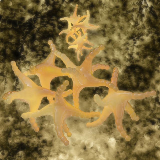 New Handheld Device Can Detect Histamines in Food