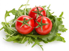 Lycopene and Kidney Cancer: Another Reason for Older Women to Eat Tomatoes