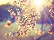 20 Mindful Quotes To Keep You Peaceful in the Present Moment