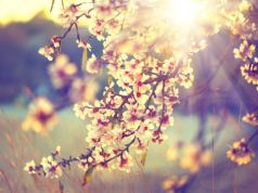 20 Mindful Quotes To Keep You Peaceful in the Present Moment