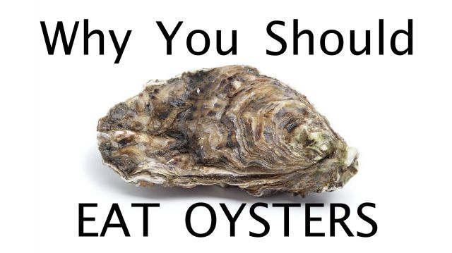 eat oysters