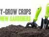 21 Easy Crops for New Food Gardeners