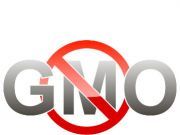 The Fight Against GMOs Is Allowed to Continue (for Now) in Vermont