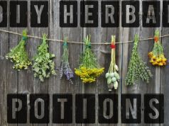 Is Your Multivitamin a Waste of Space? Try These DIY Herbal Potions Instead