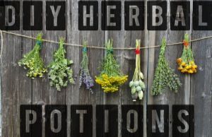 Is Your Multivitamin a Waste of Space? Try These DIY Herbal Potions Instead