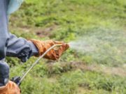 New Study Links Monsanto’s Roundup with Antibiotic Resistance