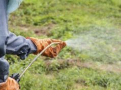 New Study Links Monsanto’s Roundup with Antibiotic Resistance