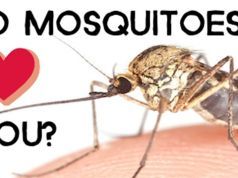 Do Mosquitos Love You? Blame Your Genes