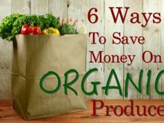 Saving Money on Organic Produce