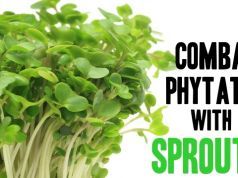 Soaking and Sprouting to Combat Phytates and Lectins