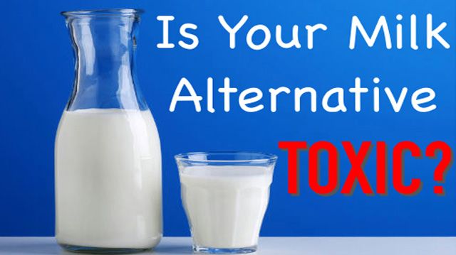 toxic milk