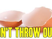 Don’t Throw Out Your Eggshells