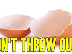 Don’t Throw Out Your Eggshells