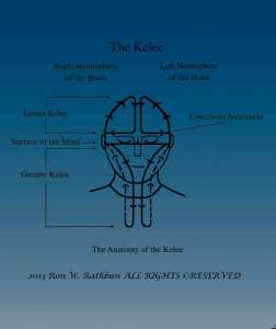 Anatomy of the Kelee