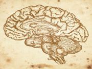 The Mind and Kelee® Meditation