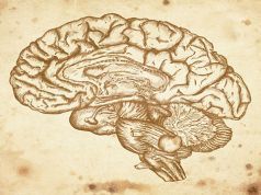 The Mind and Kelee® Meditation