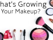 Are There Dangerous Bacteria Growing in Your Makeup? Tips and Tricks to Stay Safe
