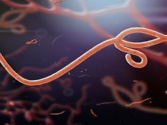 Is Ebola a Possible Sexually Transmitted Disease?