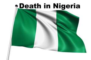 Nigeria flag with fabric structure on white background