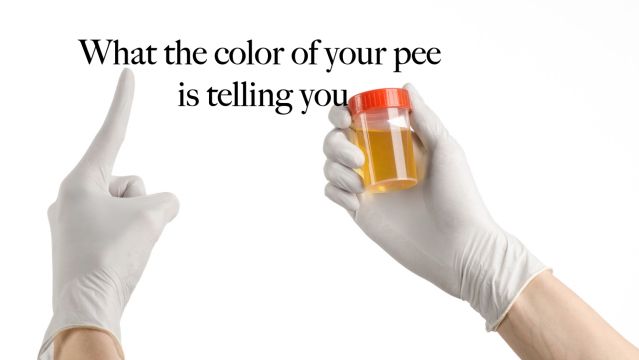 urine urine