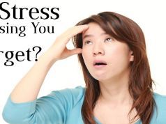 Is Stress Fracturing Your Ability to Focus and Remember?