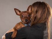 Is Your Dog Using Your Hormones to Form a Love Connection?