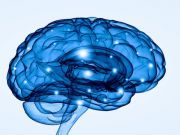 Creating New Neural Pathways in the Brain