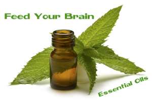essential oil and brain