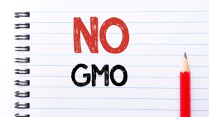 NO GMO Text written on notebook page