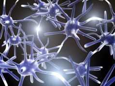 Is the Vagus Nerve the “Medical Holy Grail” for Human Health?