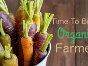 It Is a Great Time to Be an Organic Farmer