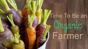 organic farming 