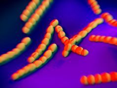 Cases of the Deadly Food Poisoning Vibrio Are on the Rise