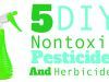 5 Nontoxic Pesticides and Herbicides You Can Make Yourself