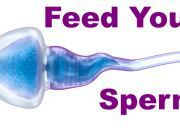 Top Foods for Improving the Health and Viability of Sperm